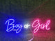 Boy or Girl Sign